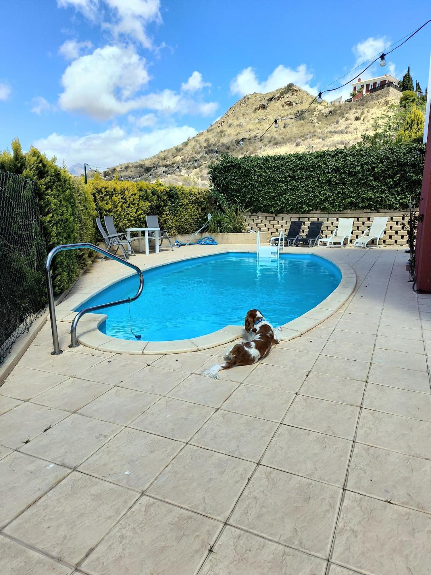 Villa Alicante - Bonalba Golf Mutxamel Eksteriør bilde